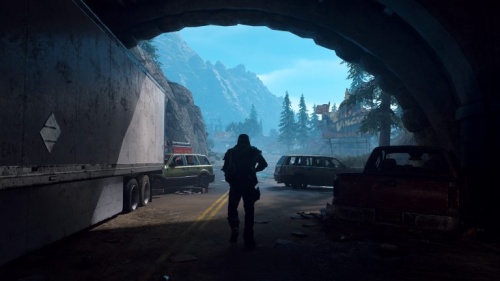 Жизнь После (Days Gone)[Б.У ИГРЫ PLAYSTATION 4]