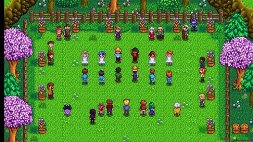 Stardew Valley[Б.У ИГРЫ NINTENDO SWITCH]